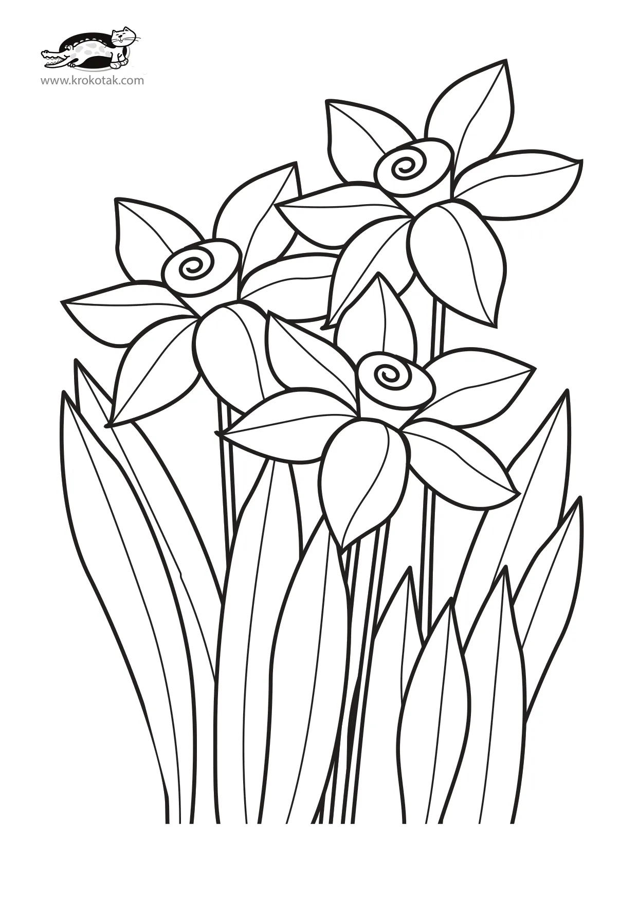 手工着色水仙花花旋